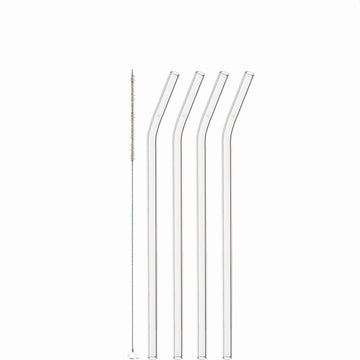 4 Glastrinkhalme + Bürste