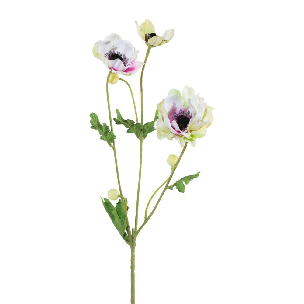Anemonenzweig