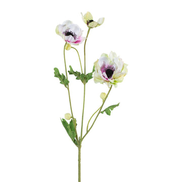 Anemonenzweig