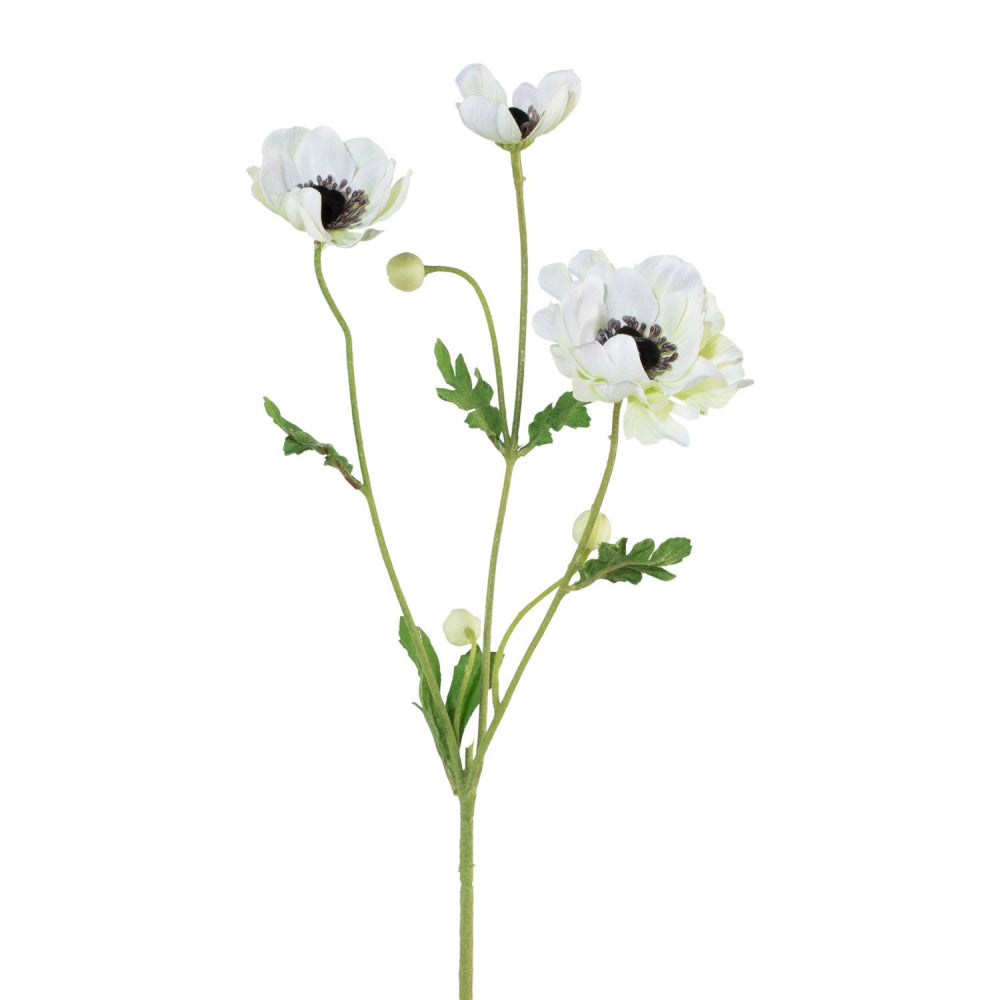 Anemonenzweig