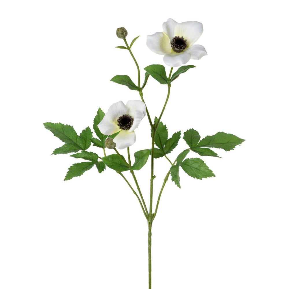 Anemonenzweig