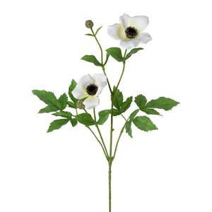 Anemonenzweig