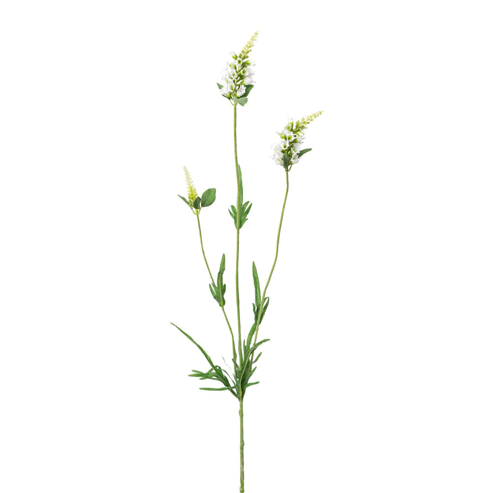 Gelenkblume