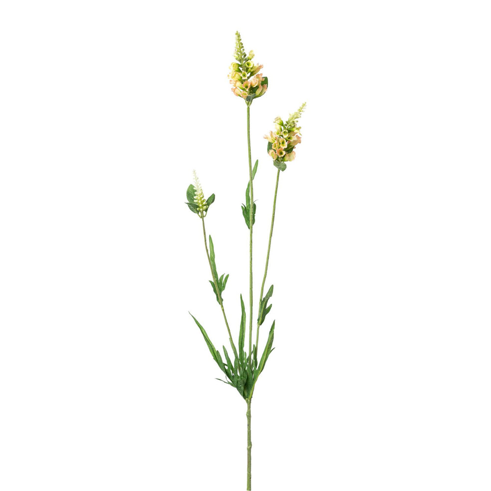 Gelenkblume