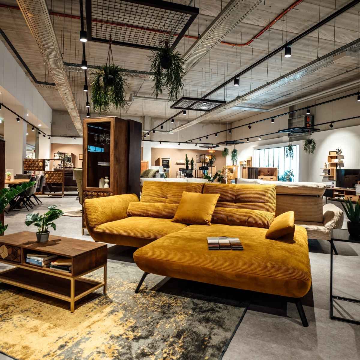 	Senfgelbes Ecksofa aus Cord mit Couchtisch und Vitrinen aus dunklem Holz in der Wohnzimmer-Ausstellung von Interliving FREY