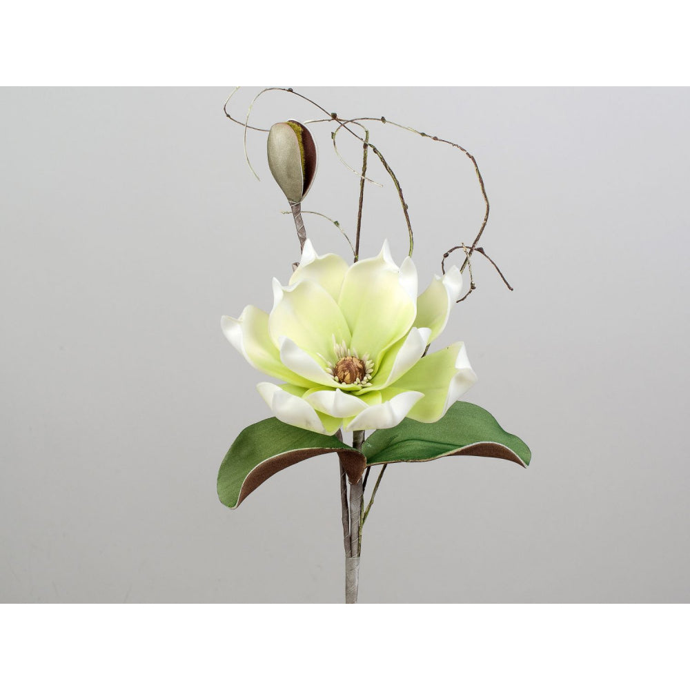 Magnolienzweig