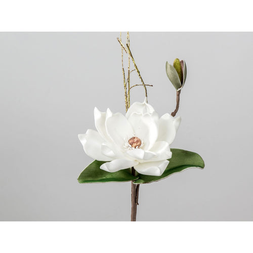 Magnolienzweig