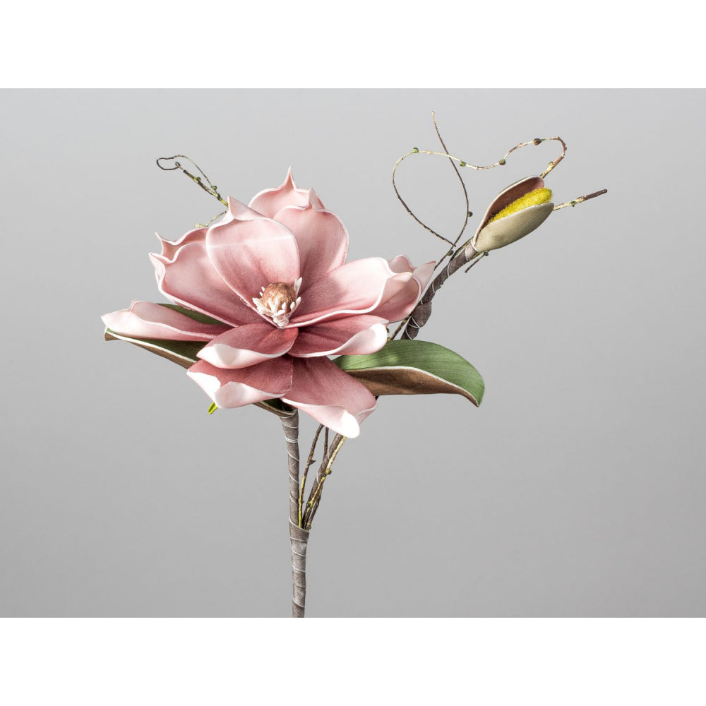 Magnolienzweig