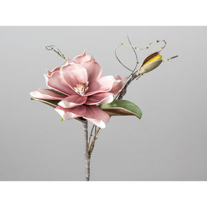 Magnolienzweig