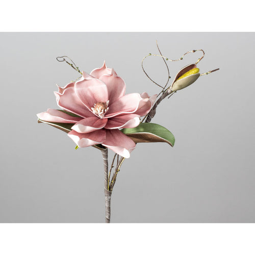 Magnolienzweig