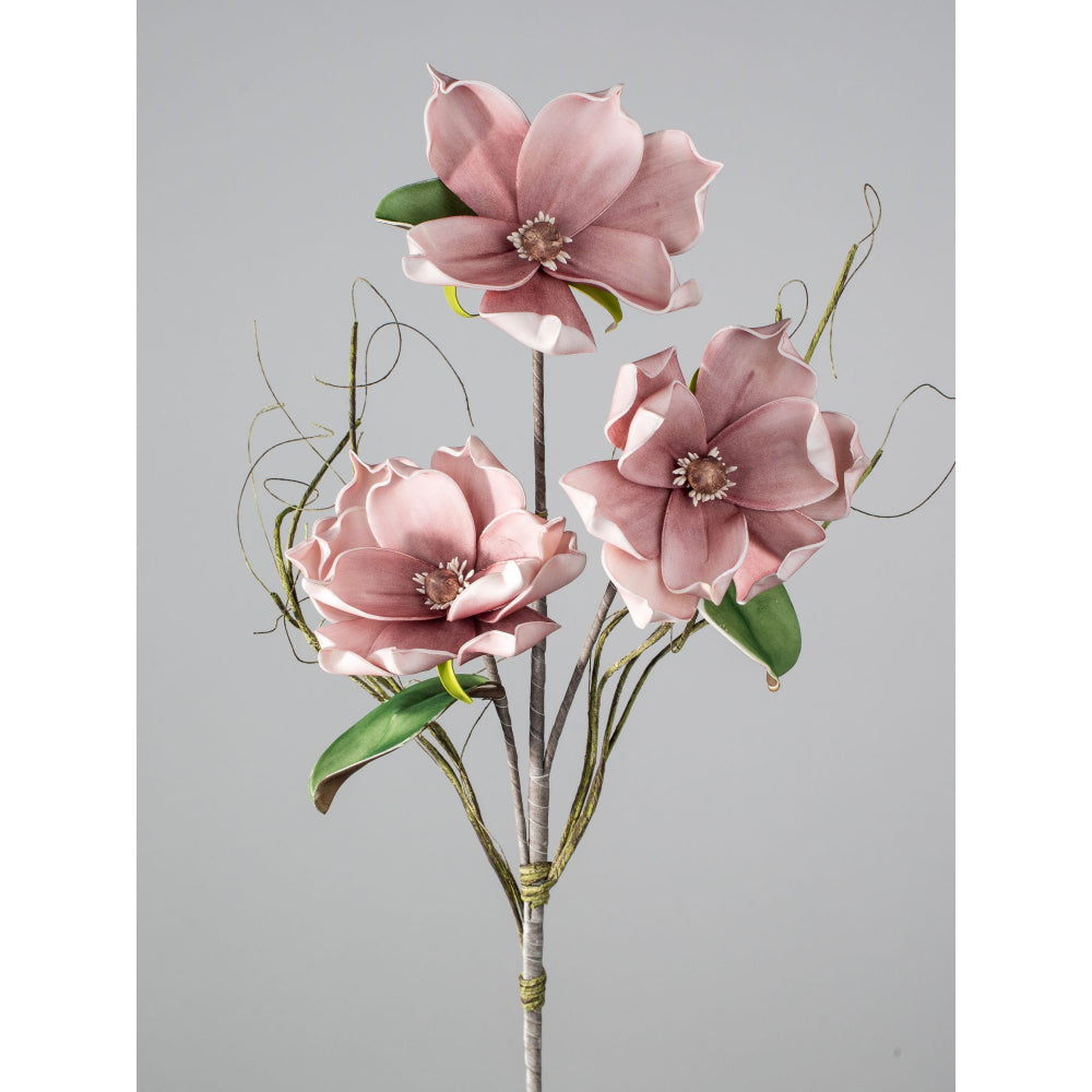 Magnolienzweig