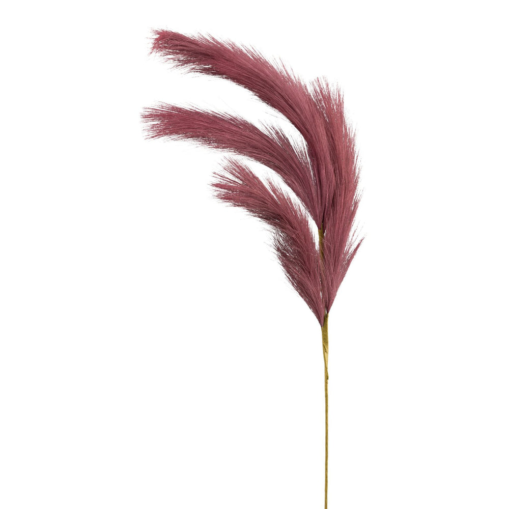 Reedgras