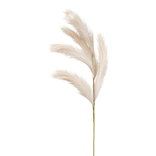 Reedgras
