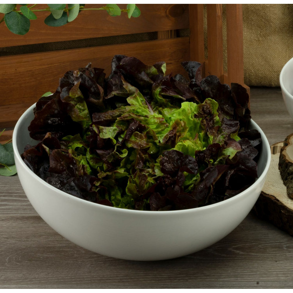 Salatschüssel "Insalata"