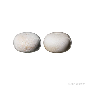Salz-/ Pfefferstreuer Set