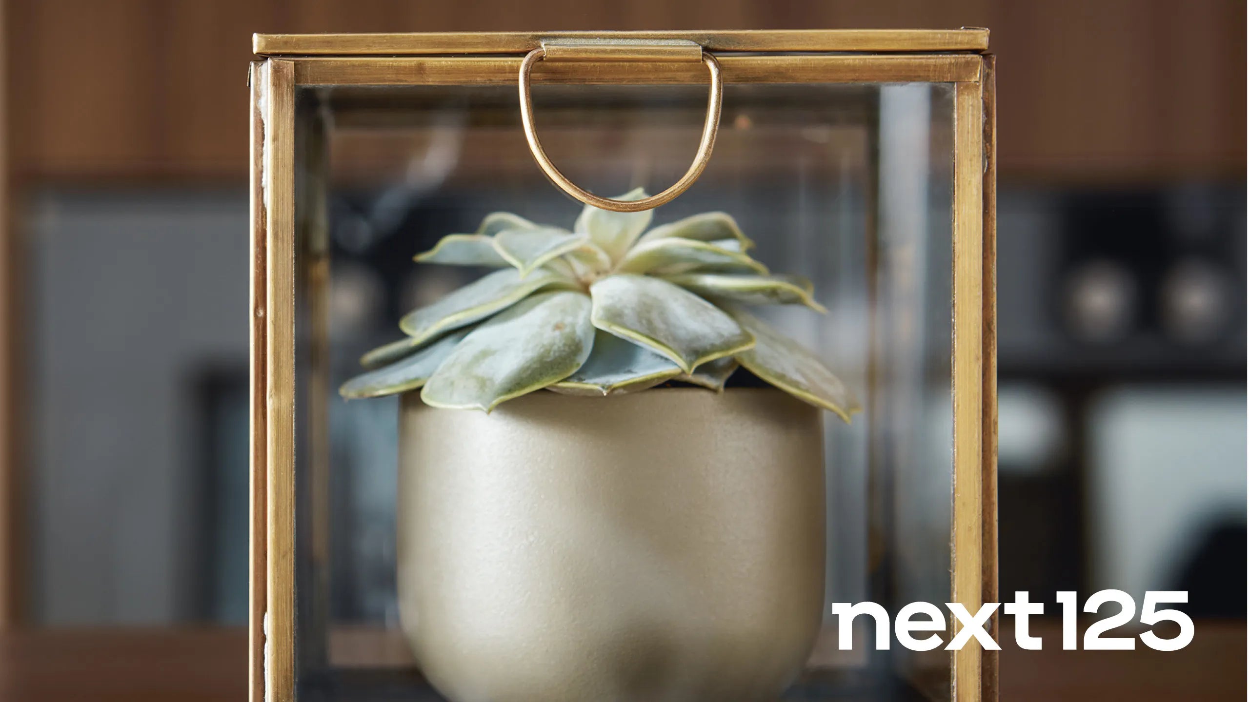 Küchen von next125 bei Interliving FREY