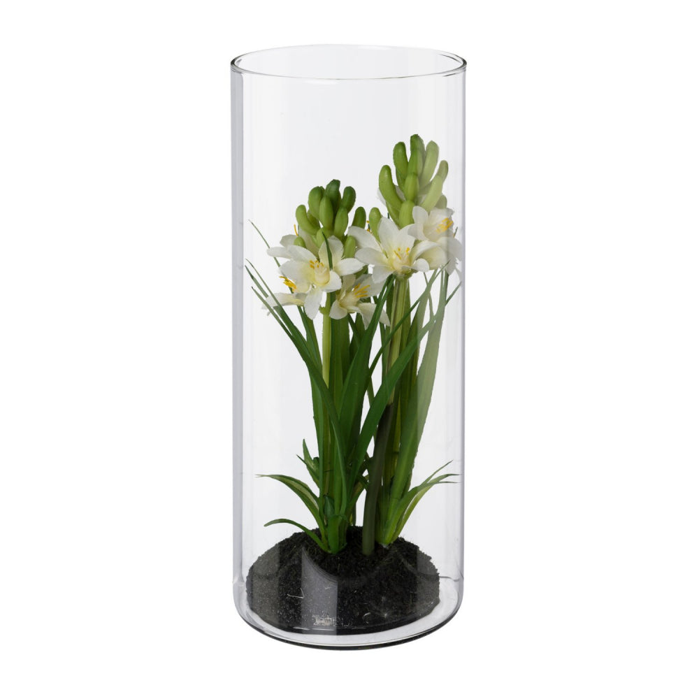 Hyazinthenarrangement