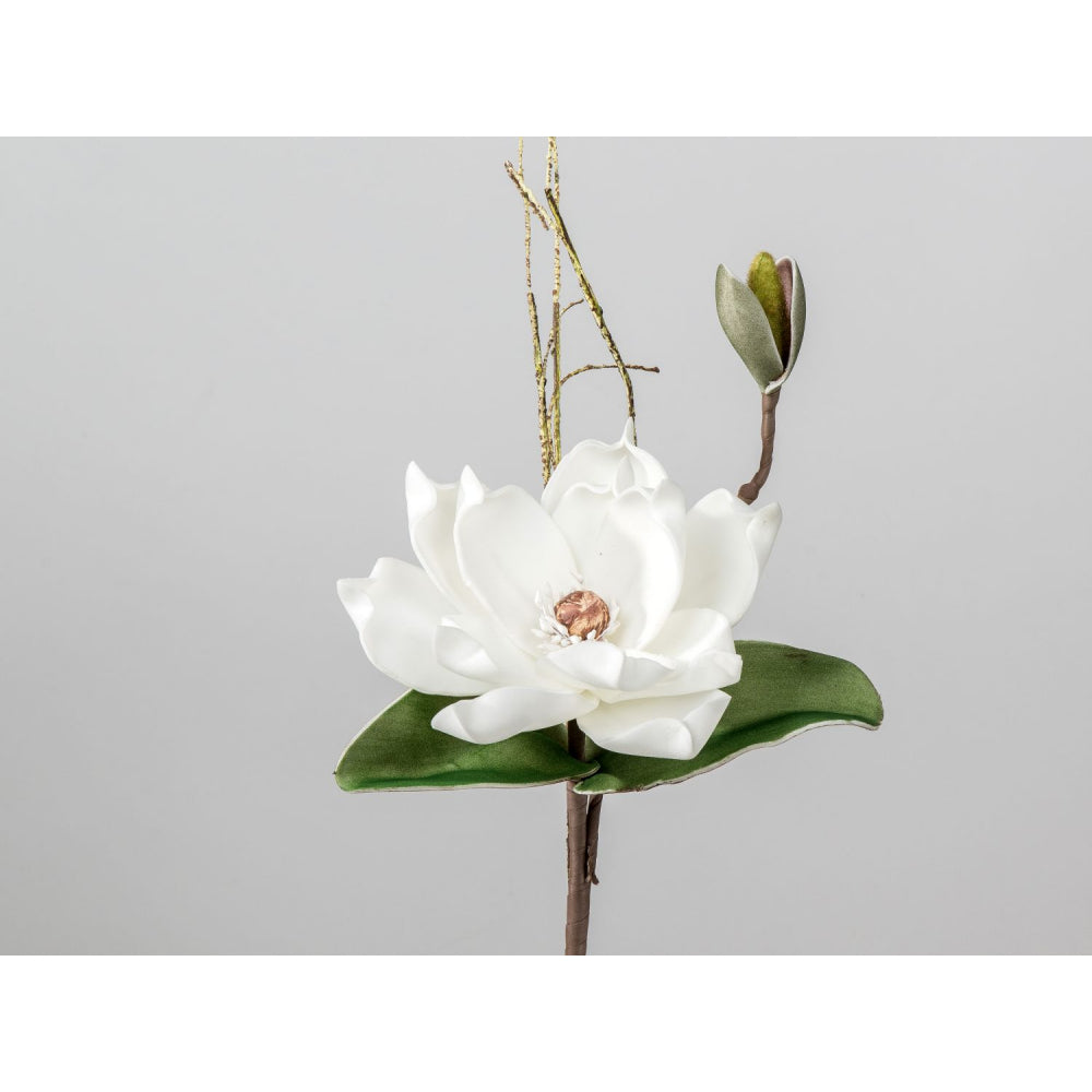 Magnolienzweig
