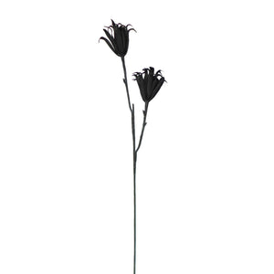 Schaumstoff Protea