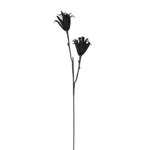 Schaumstoff Protea