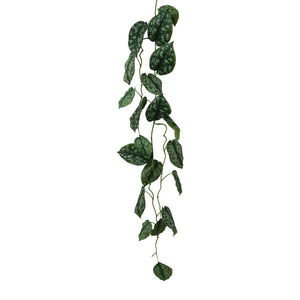 Scindapsusgirlande