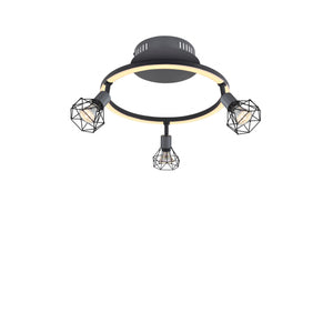 Strahler "Jutta"