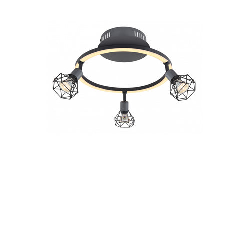 Strahler "Jutta"