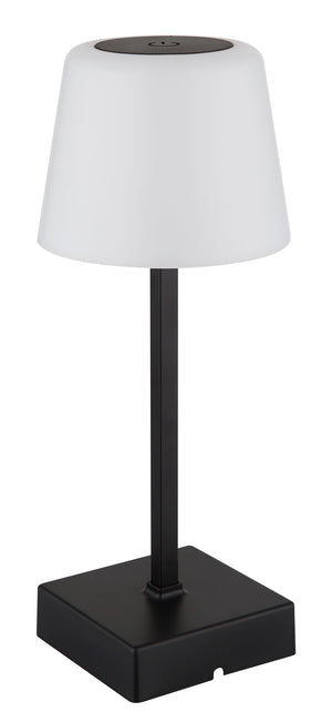 Tischleuchte "Xayden"
