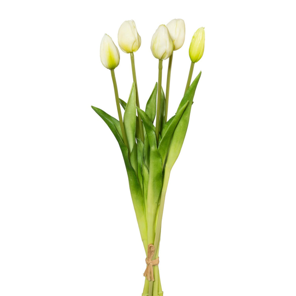 Tulpenbund