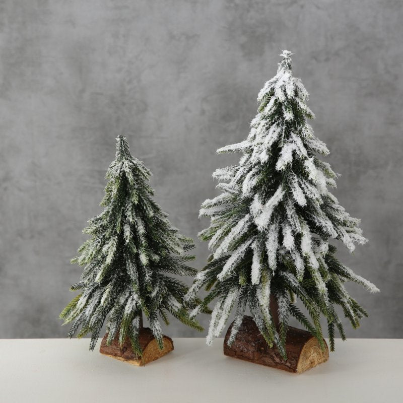 Weihnachtsbaum "Tanni"