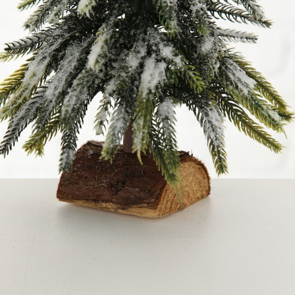 Weihnachtsbaum "Tanni"