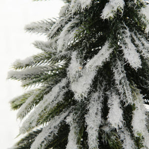 Weihnachtsbaum "Tanni"