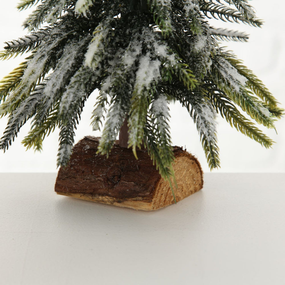 Weihnachtsbaum "Tanni"