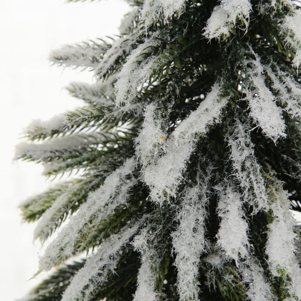 Weihnachtsbaum "Tanni"