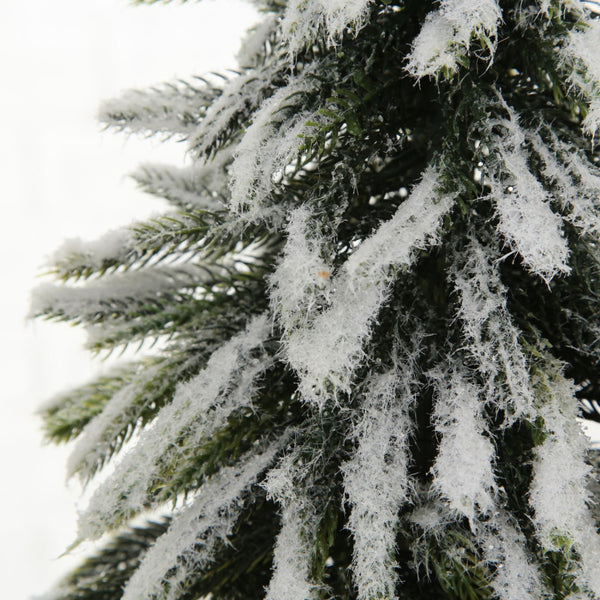 Weihnachtsbaum "Tanni"