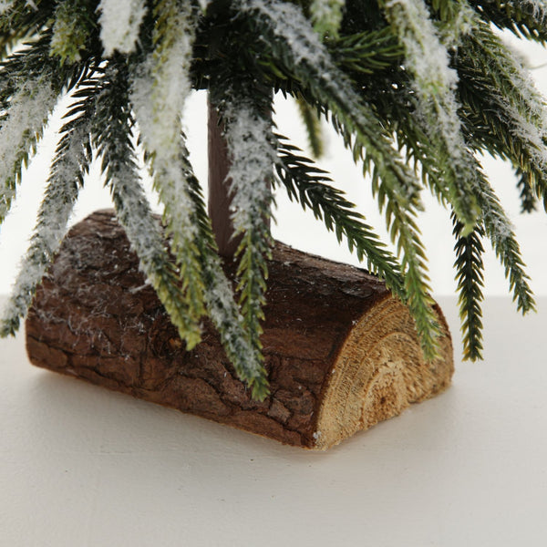 Weihnachtsbaum "Tanni"