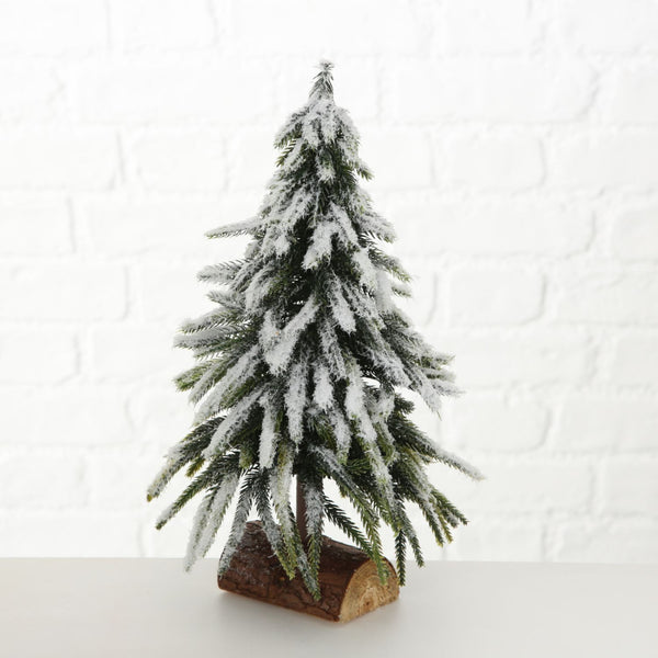 Weihnachtsbaum "Tanni"
