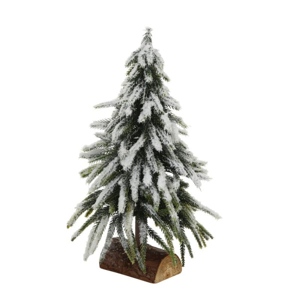 Weihnachtsbaum "Tanni"