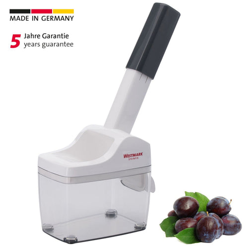 Zwetschgenentsteiner