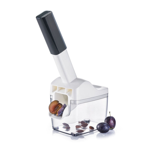 Zwetschgenentsteiner